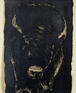 Ben Allal Ayad, Biisoni 2021, Kivilitografia, 37,5 cm x 30 cm